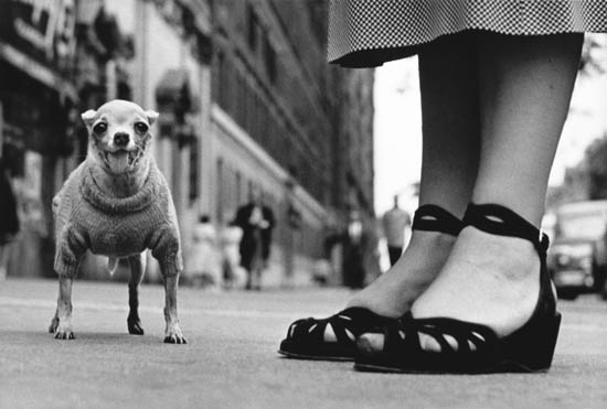 Appraisal: ERWITT ELLIOTT - New York City Silver print x inches