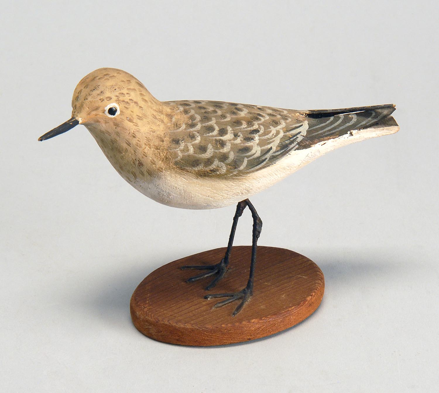 Appraisal: LIFE-SIZE SANDERLING By Peter Peltz of East Sandwich Massachusetts Mounted