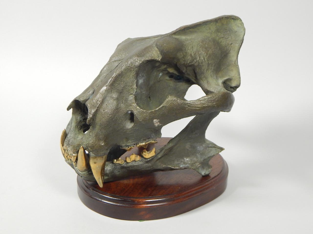 Appraisal: A green patinated and polished bronze model of a lion