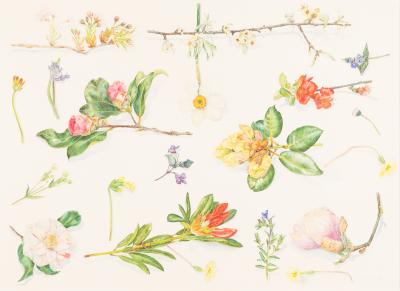 Appraisal: Val Archer British born Spring Flowers signed with initials VMA