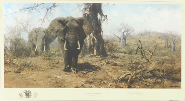 Appraisal: David Shepherd British b The Land of the Baobab Trees