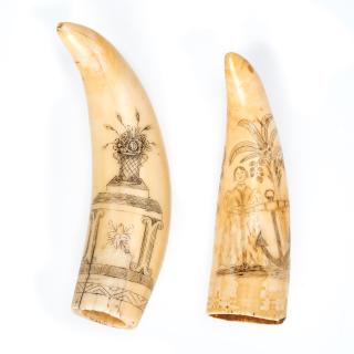 Appraisal: sailor's scrimshaw decorated teeth sailor's scrimshaw decorated teeth th c