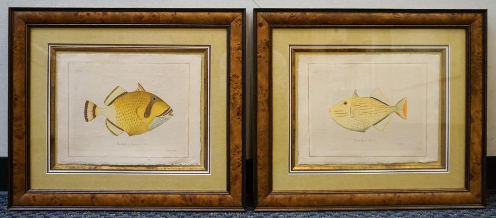 Appraisal: Baliste Picasso' and 'Baliste alignes' Two Prints on Hand Made