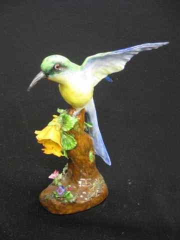 Appraisal: Crown Staffordshire Porcelain Bird Figurine hummingbird by J T Jones