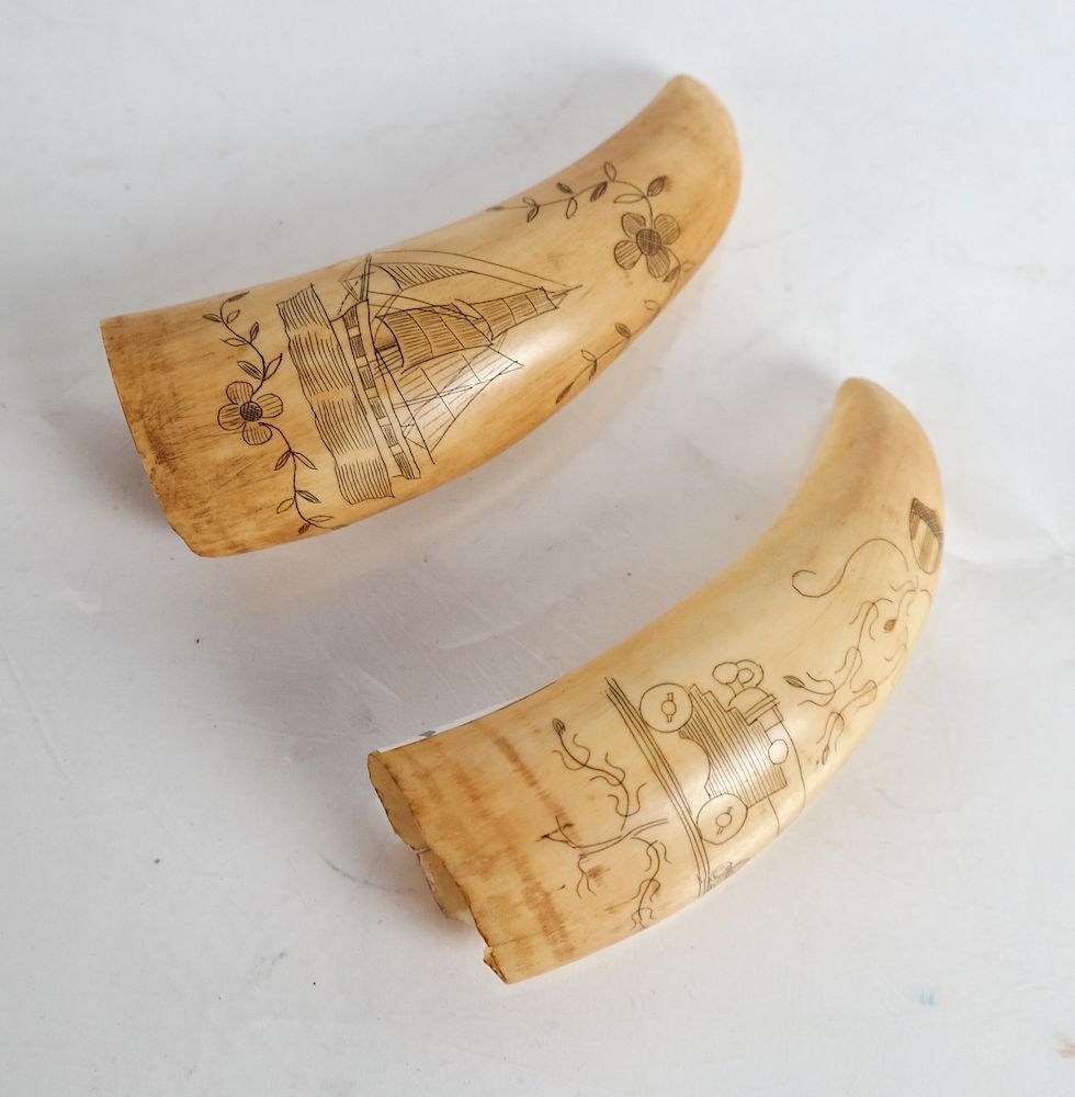 Appraisal: Two Scrimshaw Tooth Carvings One depicting a cannon with cannon