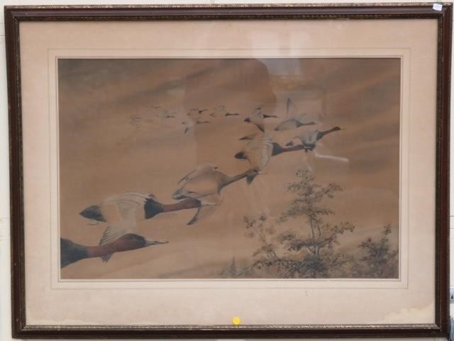 Appraisal: REX BRASHER - CT WATERCOLOR ON PAPER CANVASBACKS IN FLIGHT