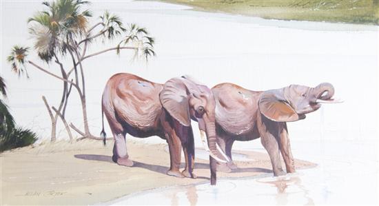 Appraisal: Allan Carter British b A group of four watercolors Elephant