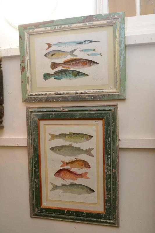 Appraisal: TWO RUSTIC FRAMED FISH OF THE SEA PAINTINGS MIXED MEDIA