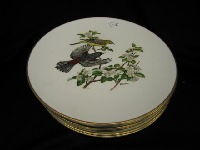 Appraisal: Boehm Porcelain Plates Woodland Birds of America excellent