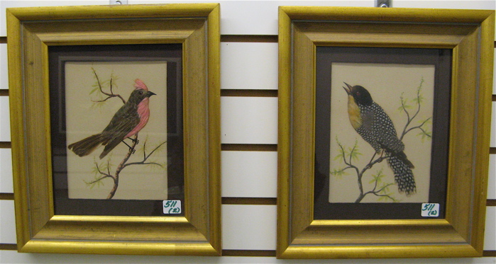 Appraisal: PAIR WATERCOLOR GOUACHE AND FEATHER depictions of colorful songbirds on