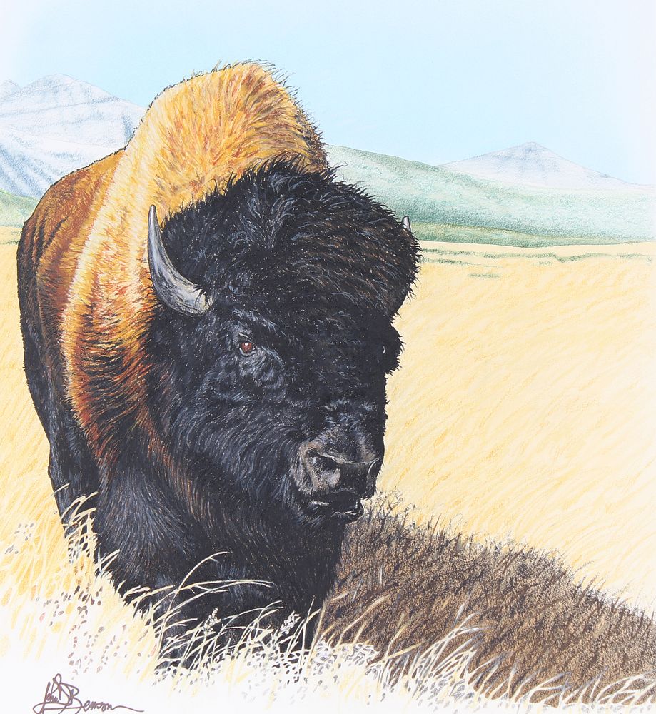 Appraisal: John Benson B Buffalo on Prairie Original John Benson American