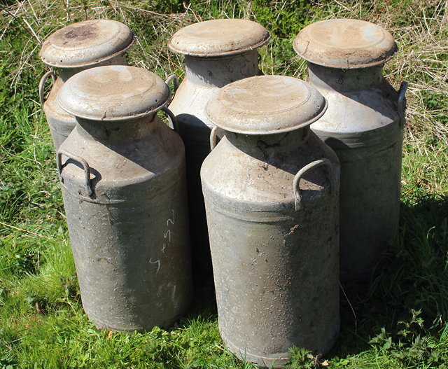 Appraisal: A GROUP OF FIVE OLD MILK CHURNS made by Grundy