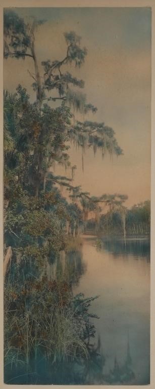 Appraisal: Hand colored photograph of Moss and Pine Florida by William