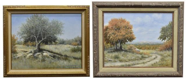 Appraisal: lot of Framed oil on canvas paintings Texas Hill Country