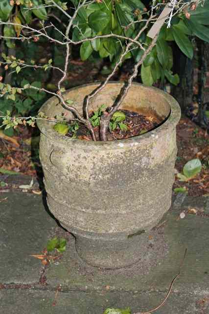 Appraisal: A TERRACOTTA PLANTER of spherical fluted form high together with