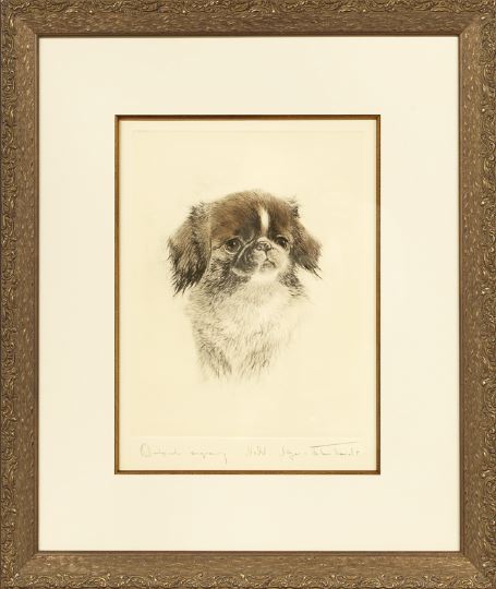 Appraisal: Nadel Gleye-Eberhardt English fl ca - Wistful Pekingese Puppy colored