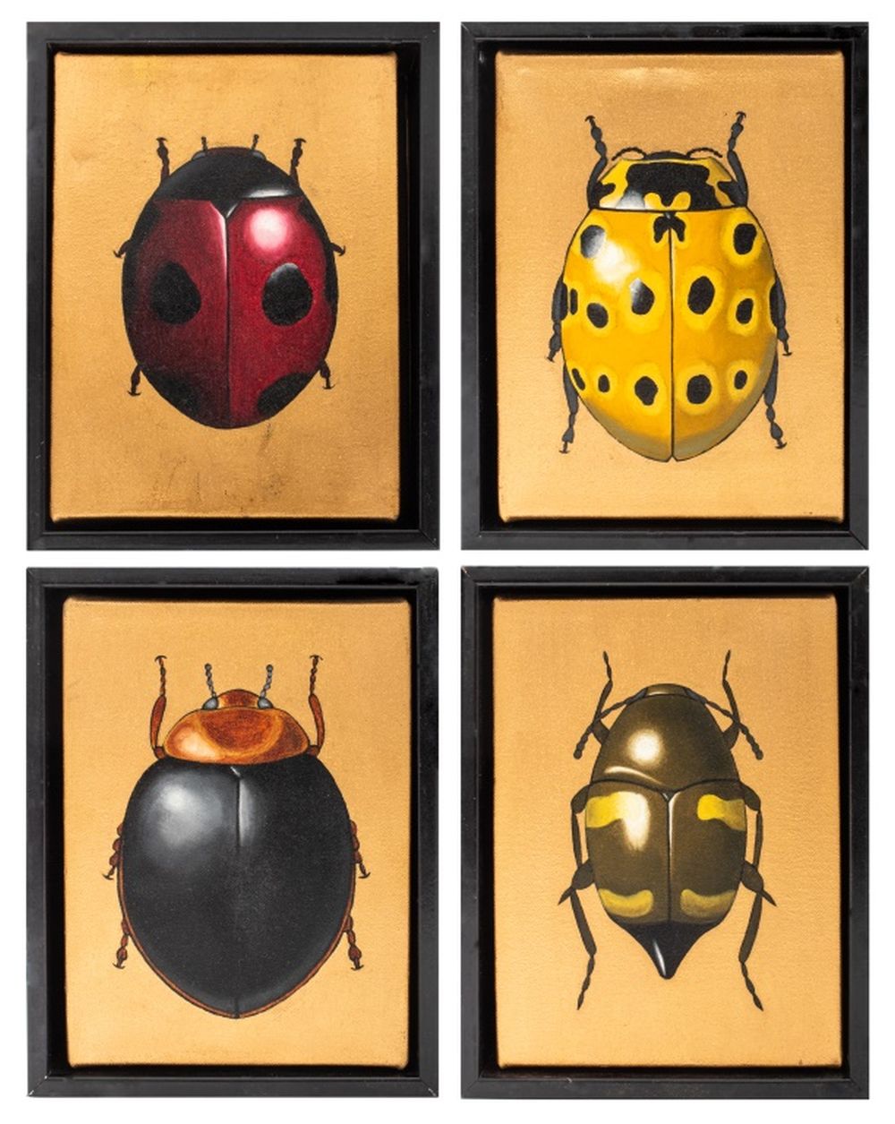 Appraisal: D G V FOUR BEETLES BUGS ACRYLIC ON CANVAS D