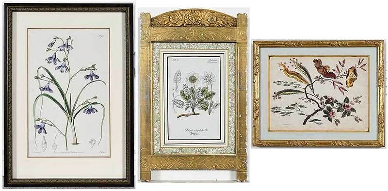 Appraisal: Group of Framed Botanical Prints th- th century Thirteen hand