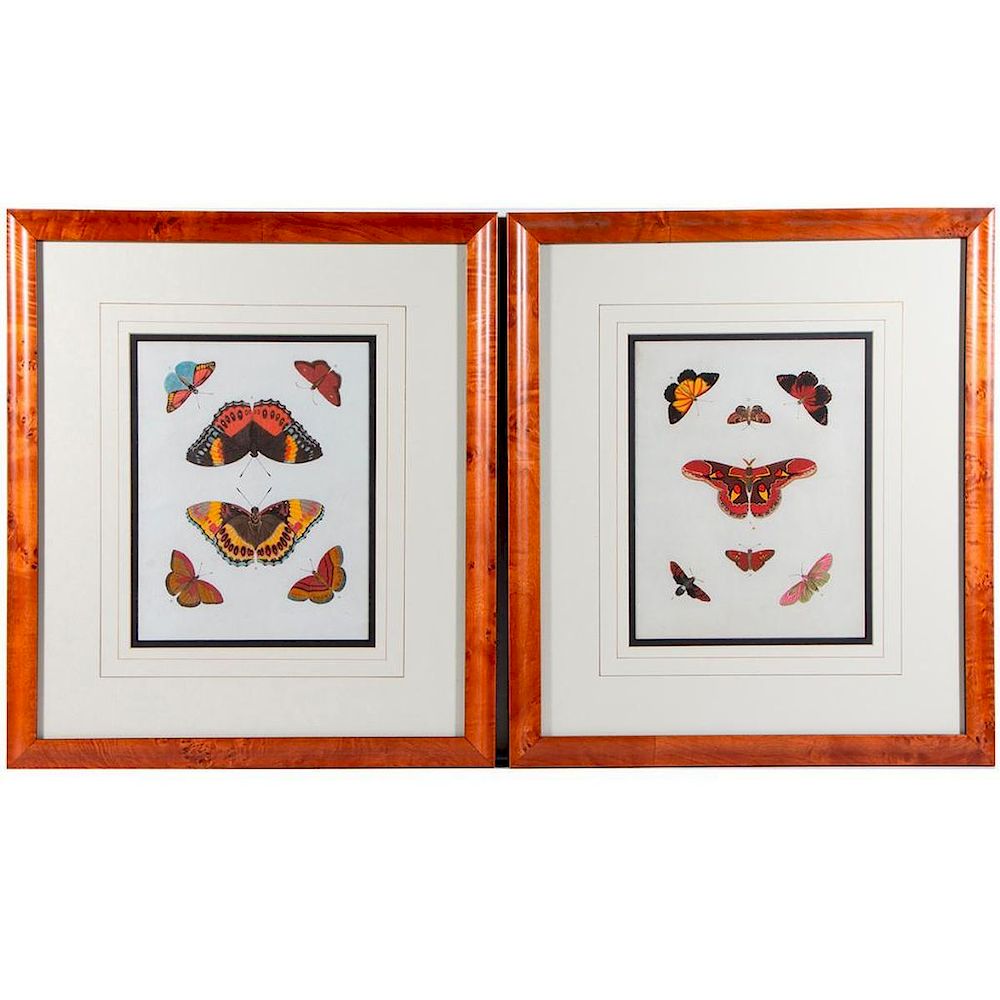 Appraisal: A pair of th century colored prints of butterflies Frames