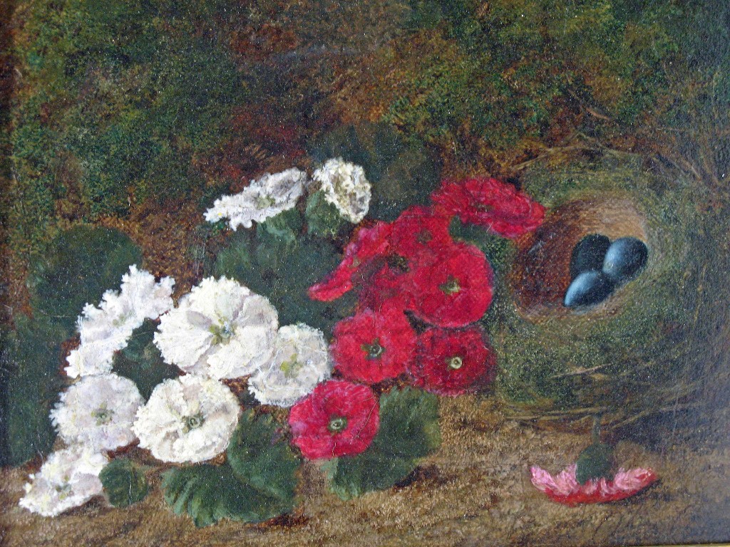 Appraisal: Oliver Clare flowers and a birds nest signed oil on