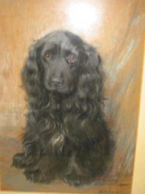 Appraisal: MAUD D HEAPS Portrait of a Spaniel signed pastel x