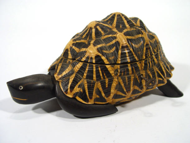 Appraisal: Naturalistic tortoise design jewellery box with wooden inlay to interior