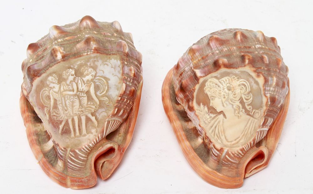 Appraisal: Cameo Carved Conch Shells Two cameo carved conch shells the