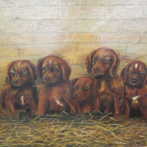 Appraisal: Antique Oil Painting of Puppies five adorable canines on canvas