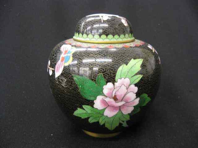 Appraisal: Chinese Cloisonne Ginger Jar butterfly floral on black field ''