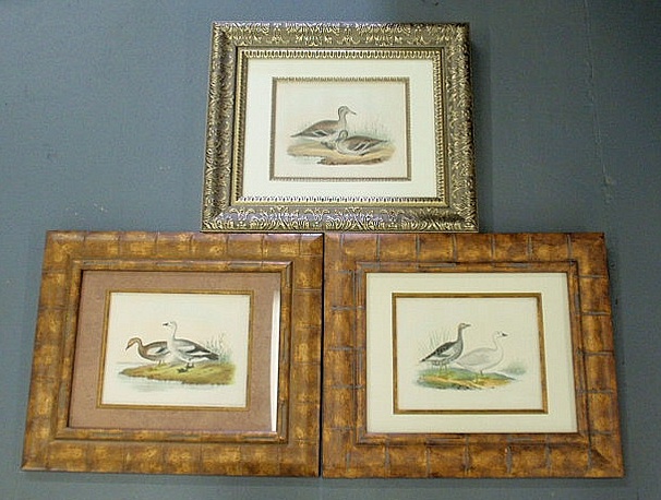 Appraisal: Three framed and matted duck and goose prints x