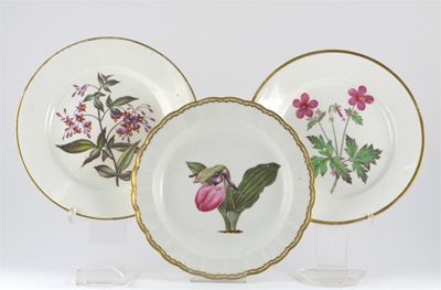 Appraisal: Three Derby botanical plates each painted with a floral specimen