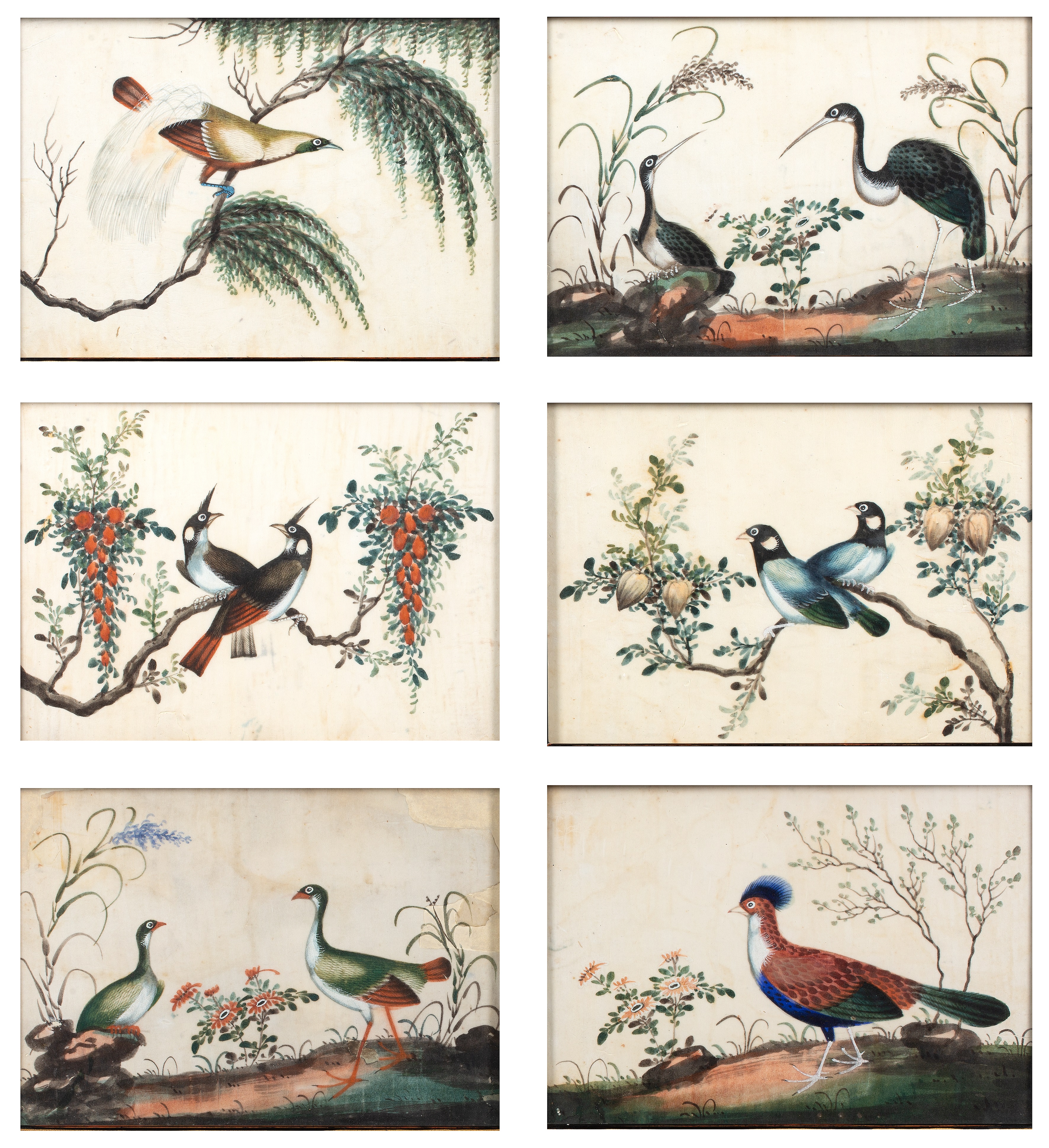 Appraisal: Set of six ornithological pith pictuesChinese th Century each unsigned