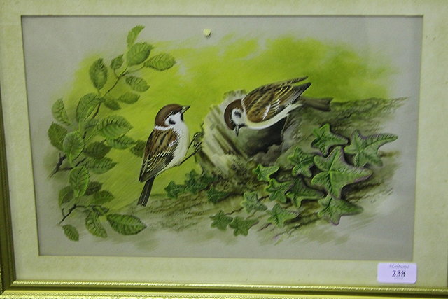 Appraisal: Paul A Nicholas British b A pair of sparrows on