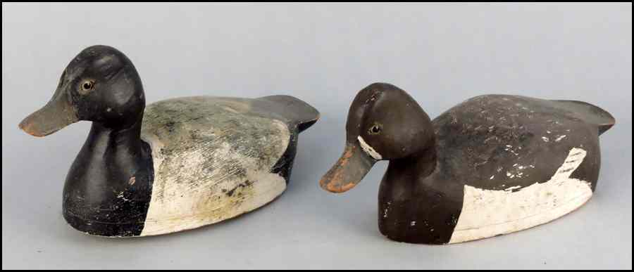 Appraisal: PAIR OF PETER STORM DECOYS Blue Bills with glass eyes