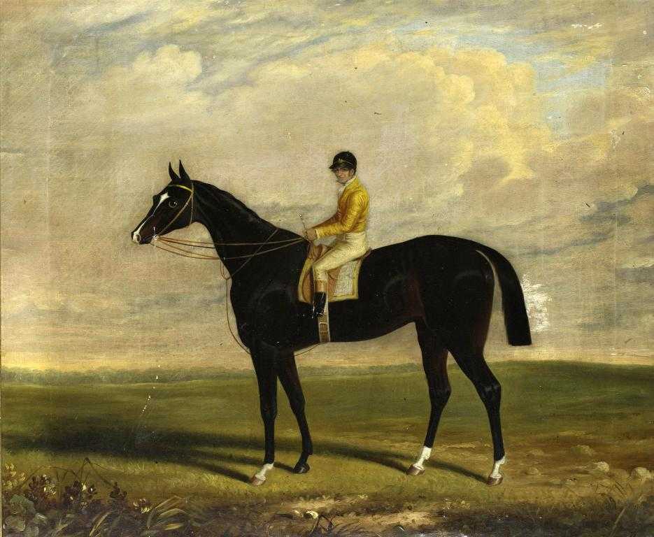 Appraisal: T WHAITE FL - PORTRAIT OF A RACEHORSE WITH JOCKEY