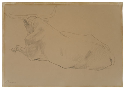 Appraisal: JOHN SINGER SARGENT Study of a Bull Pencil on tan