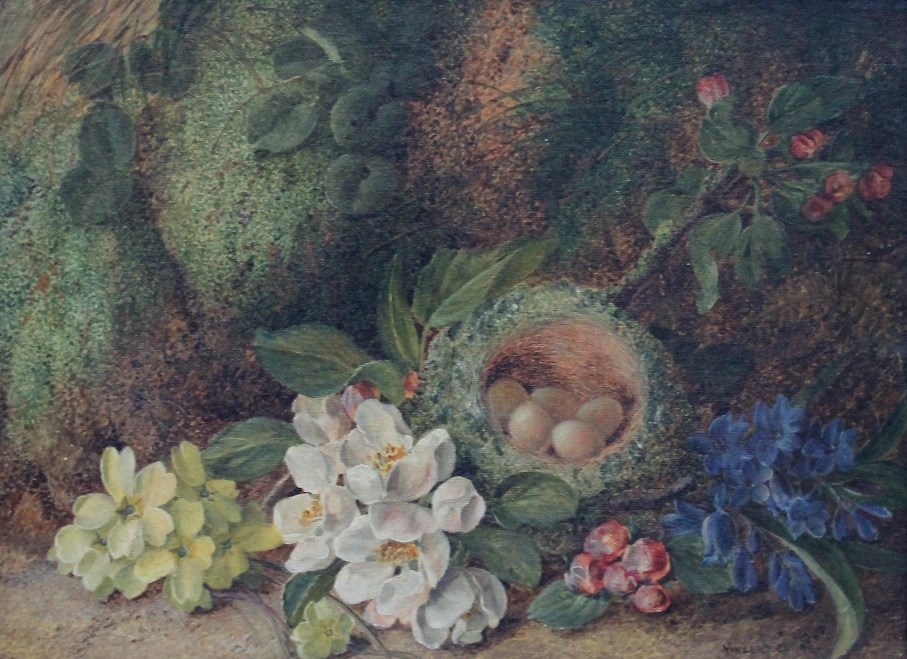 Appraisal: Vincent Clare - Still life of blossom and birds nest