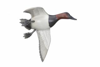 Appraisal: Flying Canvasback Pair Mike Borrett b Flying Canvasback Pair Mike