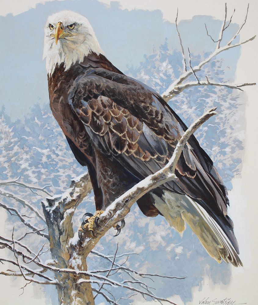 Appraisal: John Swatsley B Bald Eagle John Swatsley American B Bald