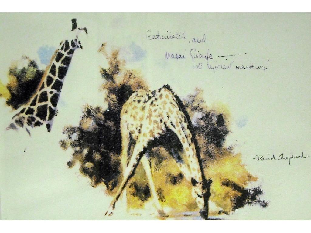 Appraisal: After David Shepherd - two giraffes signed in pencil and