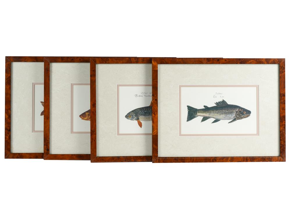 Appraisal: SET OF FOUR COLORED ENGRAVINGS OF FISHeach matted and framed