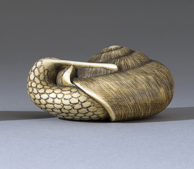 Appraisal: IVORY NETSUKE Circa In the form of a snail emerging