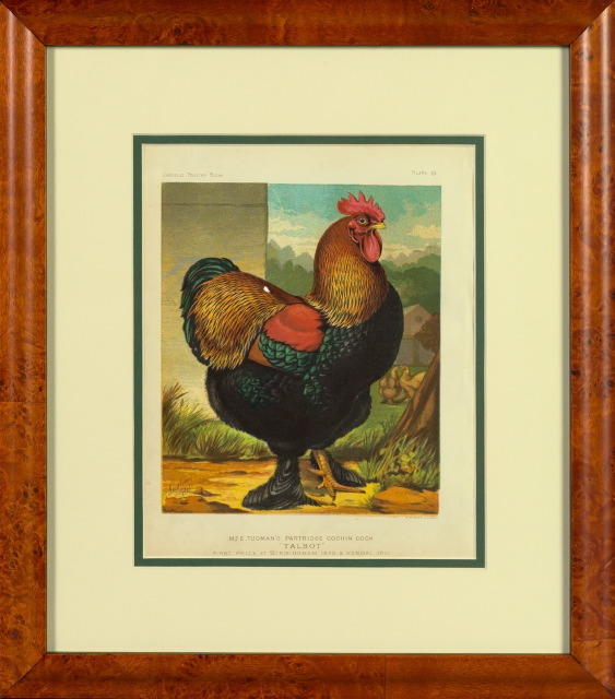 Appraisal: British School th Century Hens suite of six stone lithographs