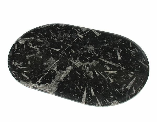 Appraisal: Fossil Table Top Of oval outline with a beveled edge