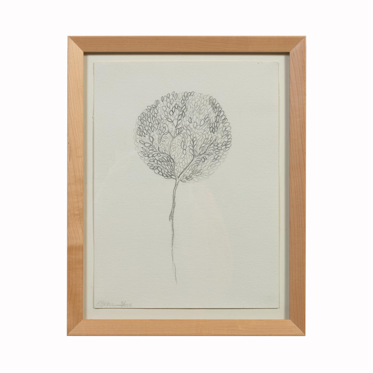 Appraisal: BRAER DANDELION PENCIL ON PAPER E Braer American Dandelion drawing