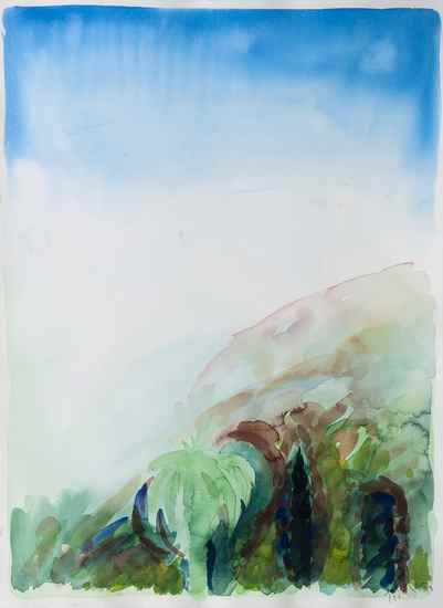 Appraisal: William Tillyer b A tropical hillside watercolour on paper signed