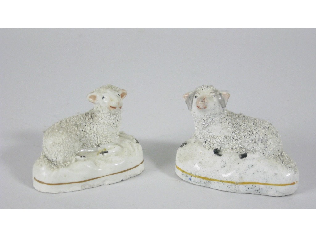 Appraisal: Four Staffordshire Sheep and two Poodles with encrusted wool and