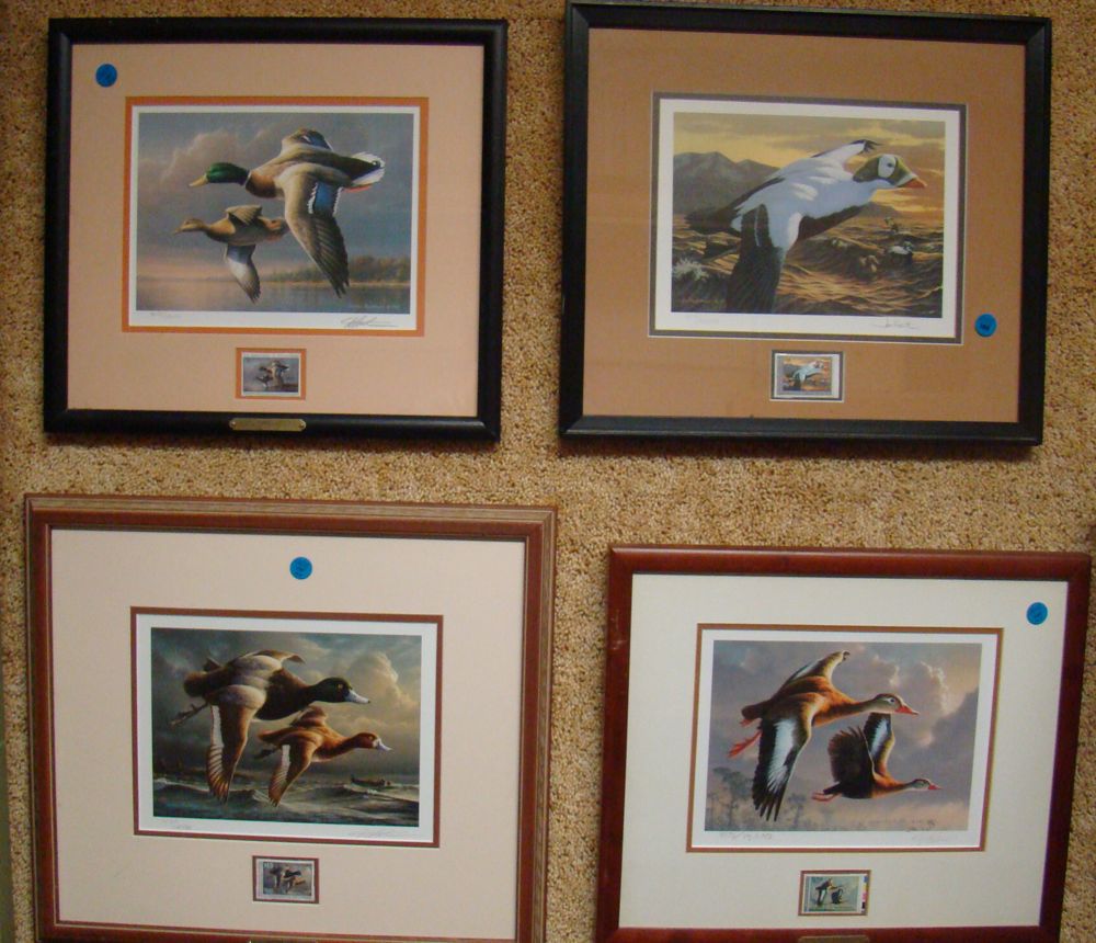 Appraisal: FOUR FRAMED FEDERAL DUCK STAMP PRINTS For and Approximately x