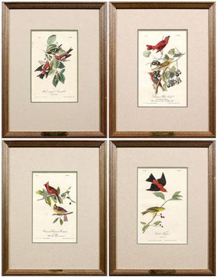 Appraisal: Four Audubon Royal Octavo prints Plate Scarlet Tanager Plate Common