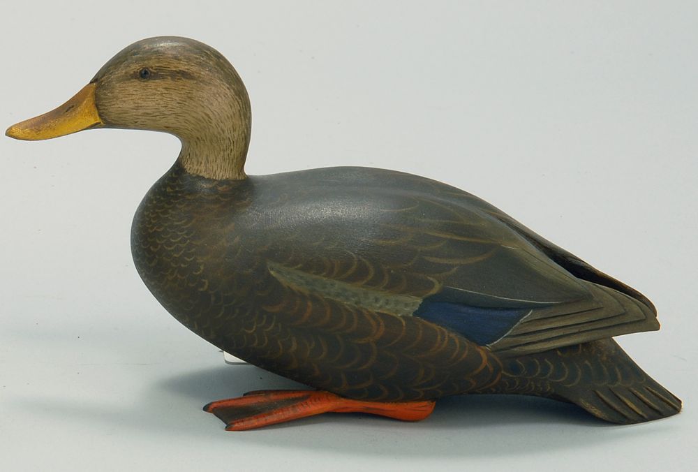 Appraisal: OVERSIZE MINIATURE BLACK DUCK By Wendell Gilley of Southwest Harbor